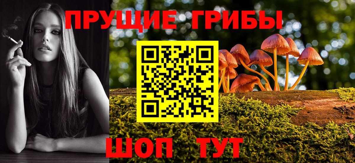 Псилоцибиновые грибы прущие грибы Михайловка