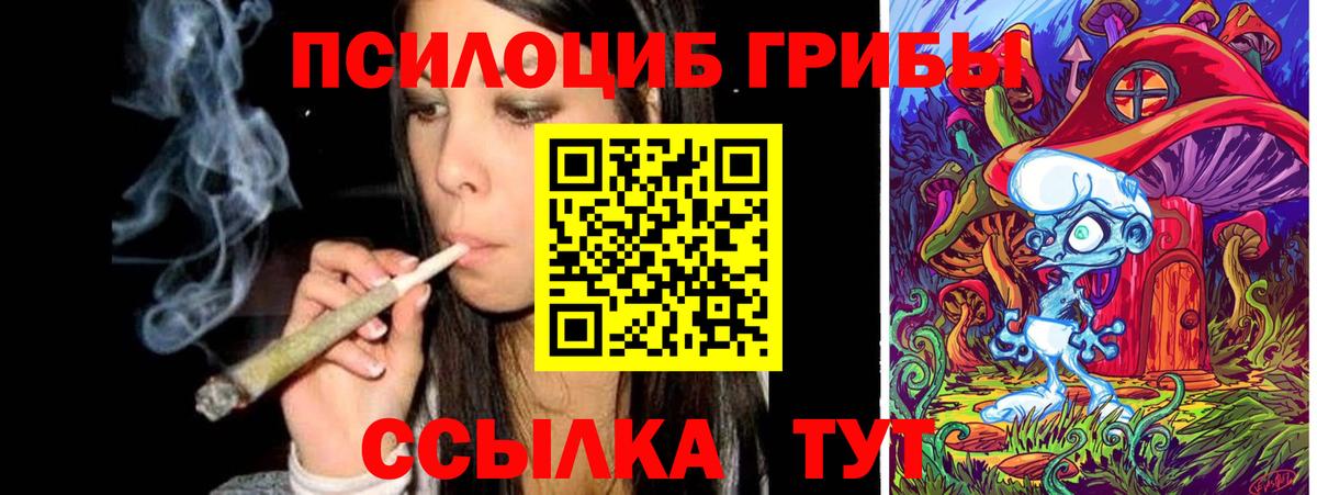 Михайловка  Псилоцибиновые грибы прущие грибы  Вход с VPN  Псилоцибиновые грибы ЛСД 
